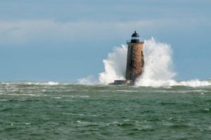 חוסן ארגוני